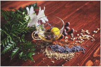 The Difference between Tea and Herbal Infusions